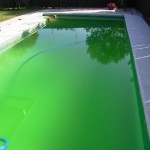 緑色のプール