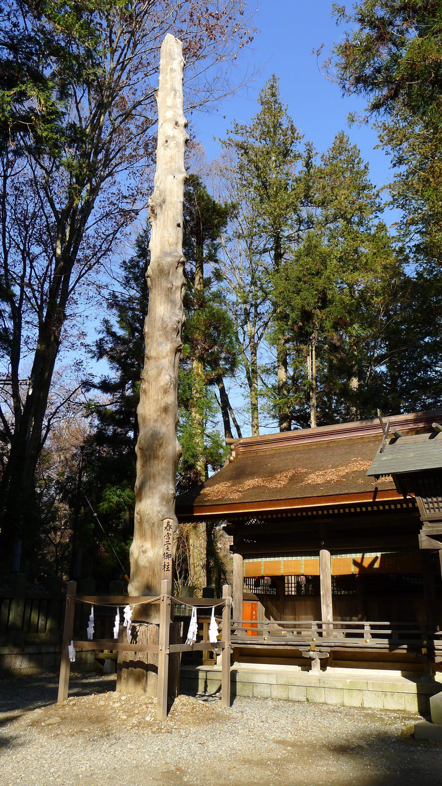 諏訪大社　春宮二之御柱